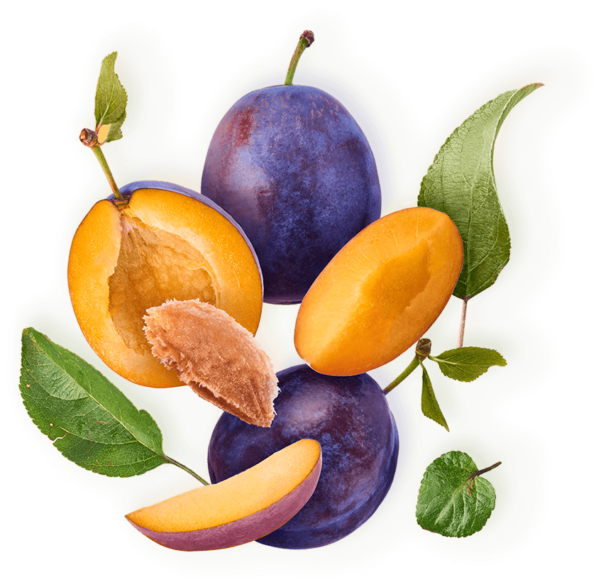 slide_01_fruit_z