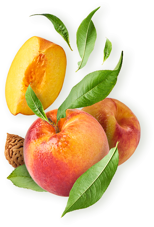 slide_02_fruit_z